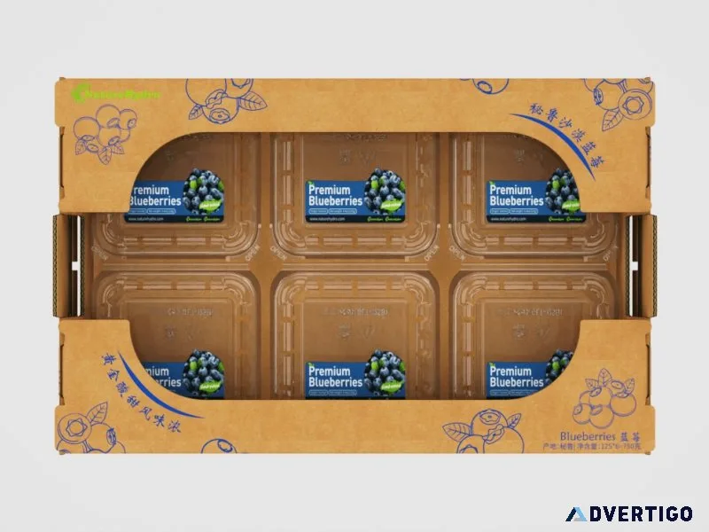 Fresh fruit carton box – made in china, global shipping, customi