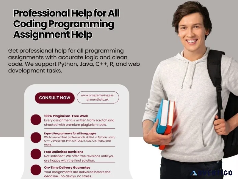 Professional help for all coding programming assignment help