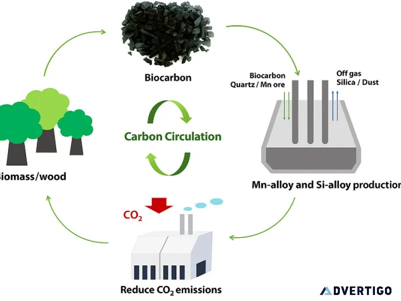 Biocarbon processing & production plant - kerone