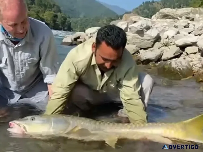 Mahaseer fishing camps