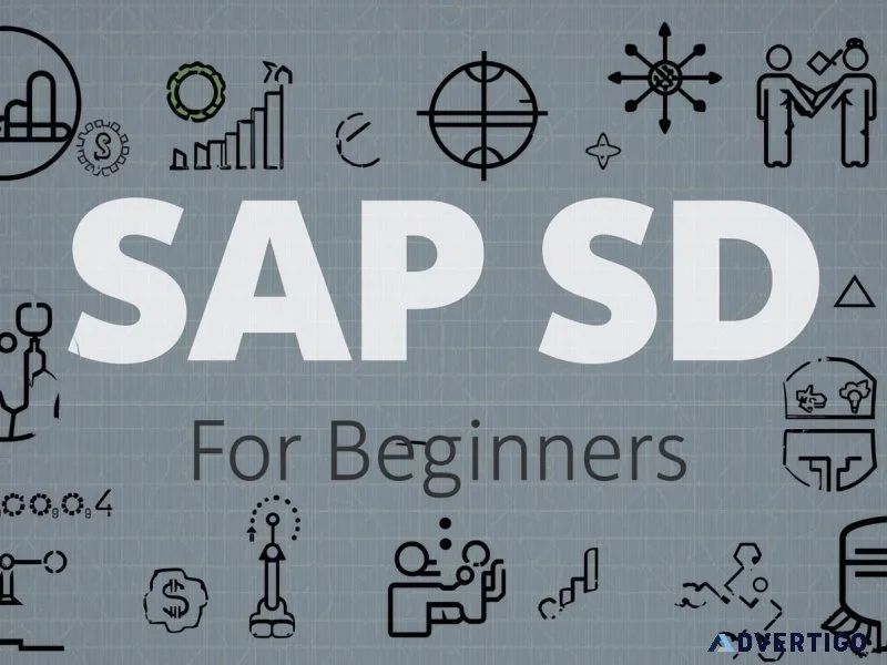 Best sap sd online training course for sales & distribution proc