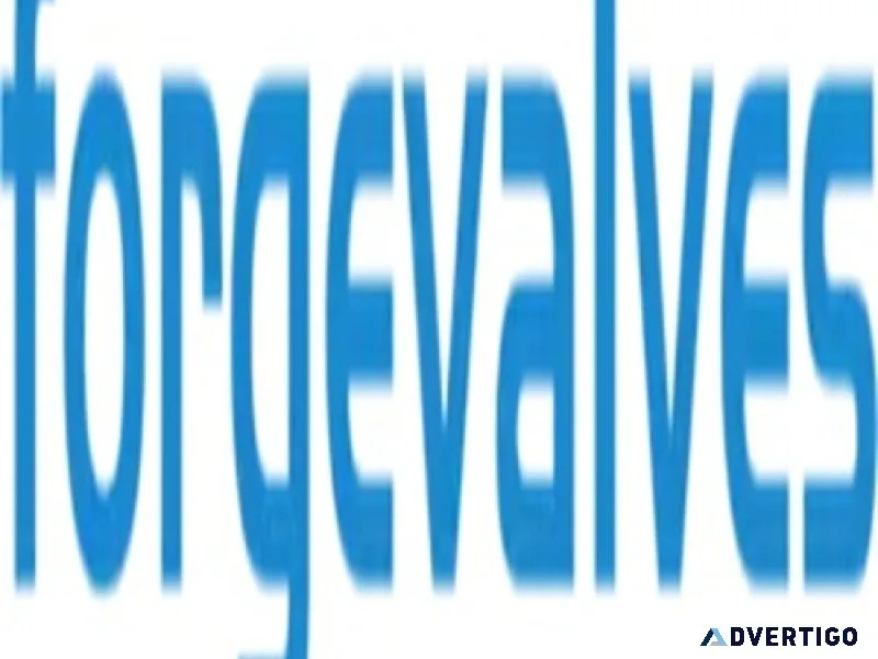 China forged valves co, ltd