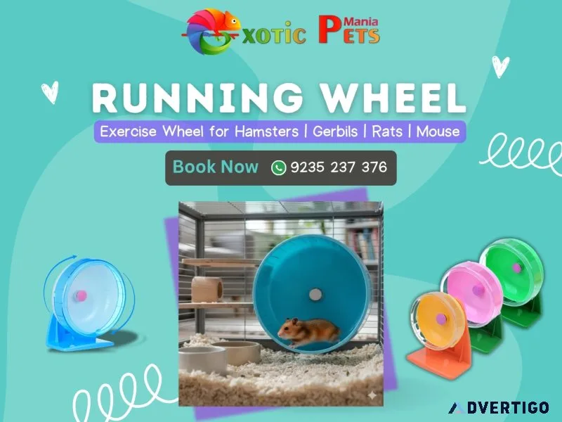 Qpets hamster wheel – rabbit & small pet running wheel