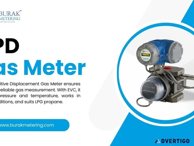 Rpd gas meter with evc and rotary displacement gas meter in pune
