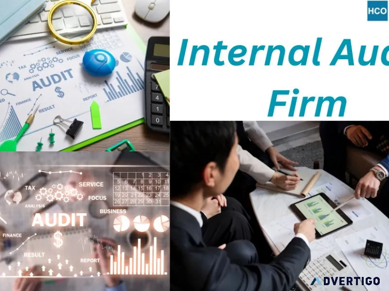 Boost business efficiency with hco & co – your trusted internal