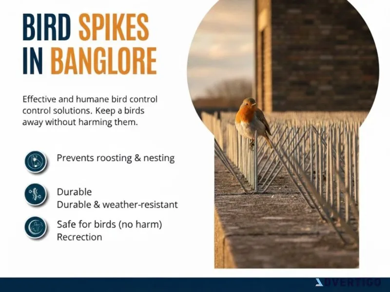 Birds spikes in bangalore