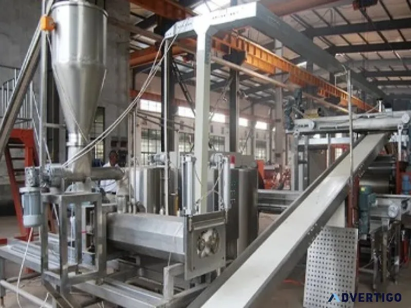 Potato powder production plant for food processing