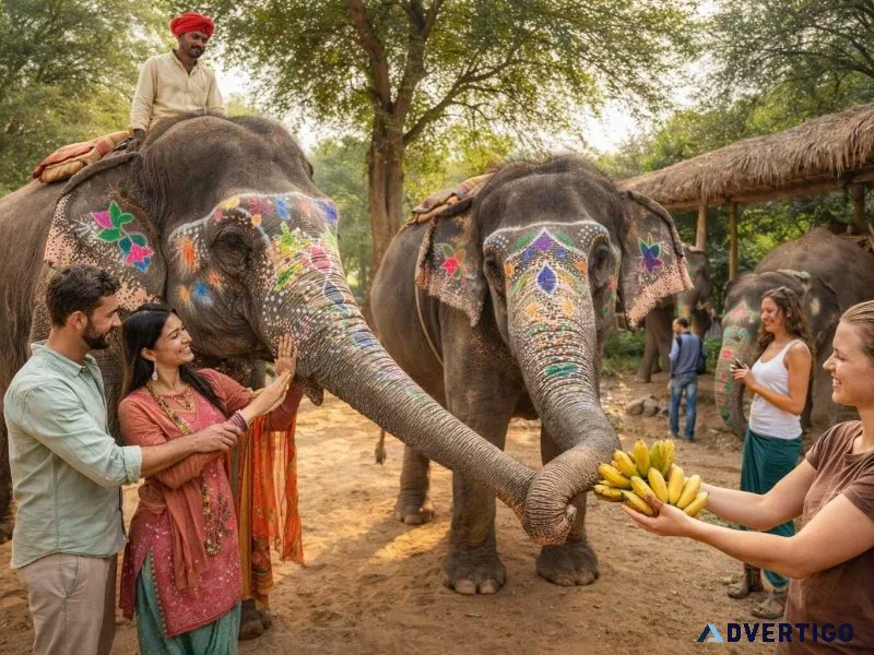 Elephant sanctuary jaipur a complete guide for ethical elephant