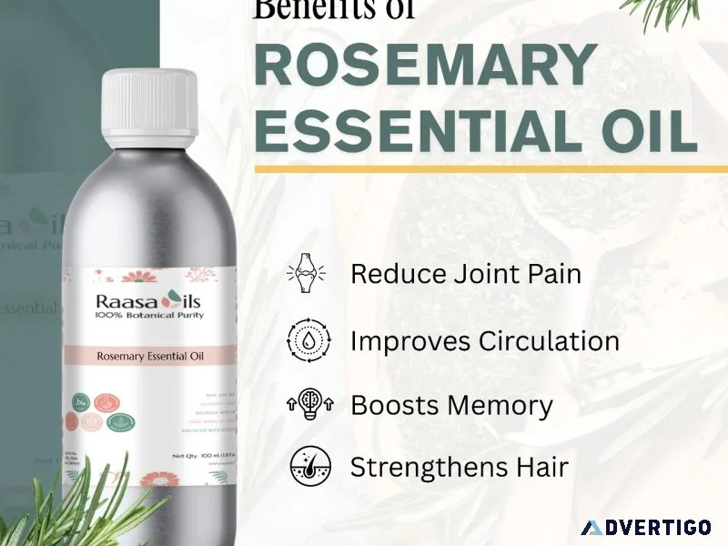 Rosemary essential oil – boost focus & hair growth