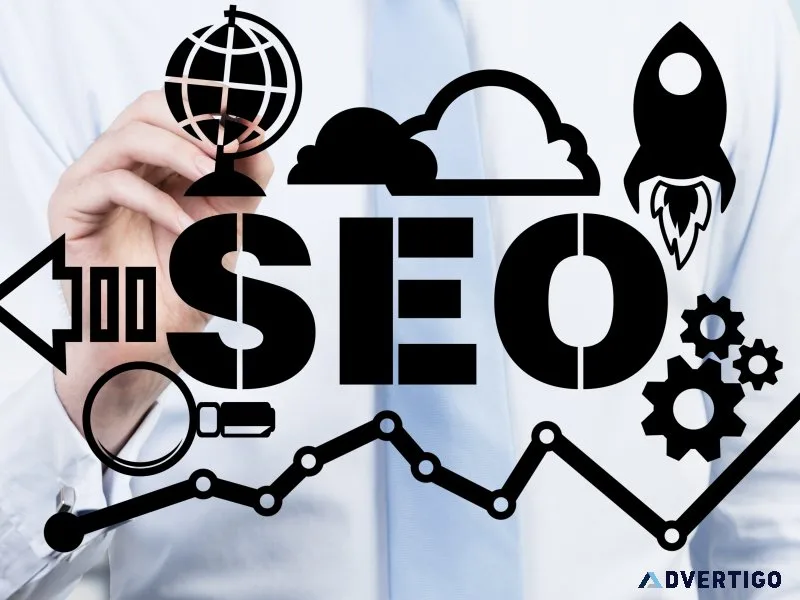 Professional seo company in chandigarh for higher rankings