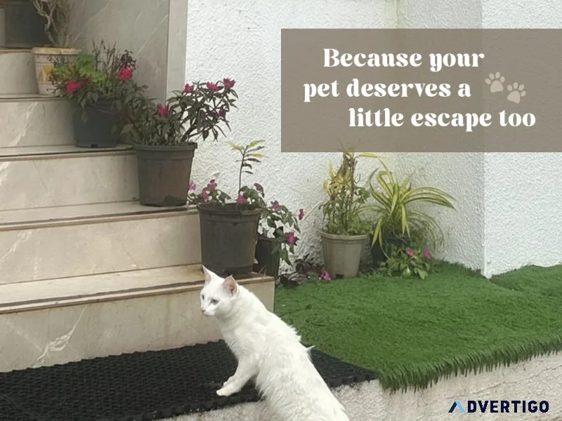 Pet-friendly 4 bhk villa with pool & scenic views | ekayan villa