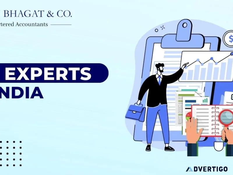 Experienced gst experts in india