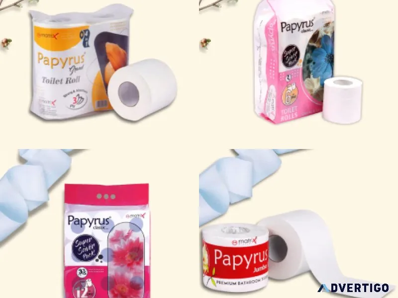 Premium toilet paper rolls for homes & hotels | bulk supplier