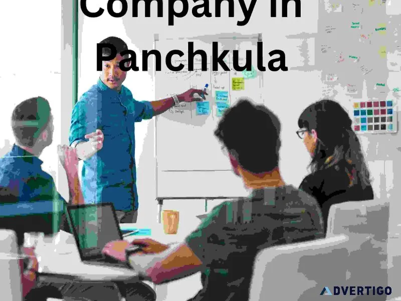 Professional web designing company in panchkula