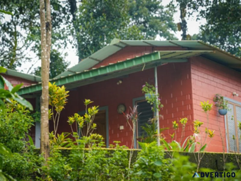 Best cottages in coorg amid coffee plantations