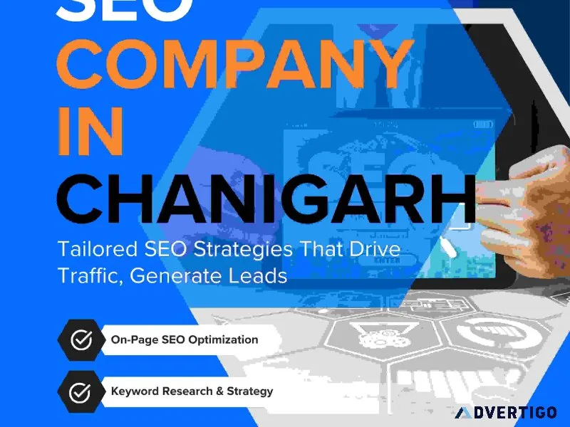 Trusted seo company in chandigarh for business growth