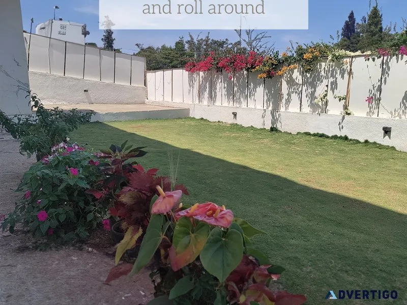 A big backyard where your children can play freely