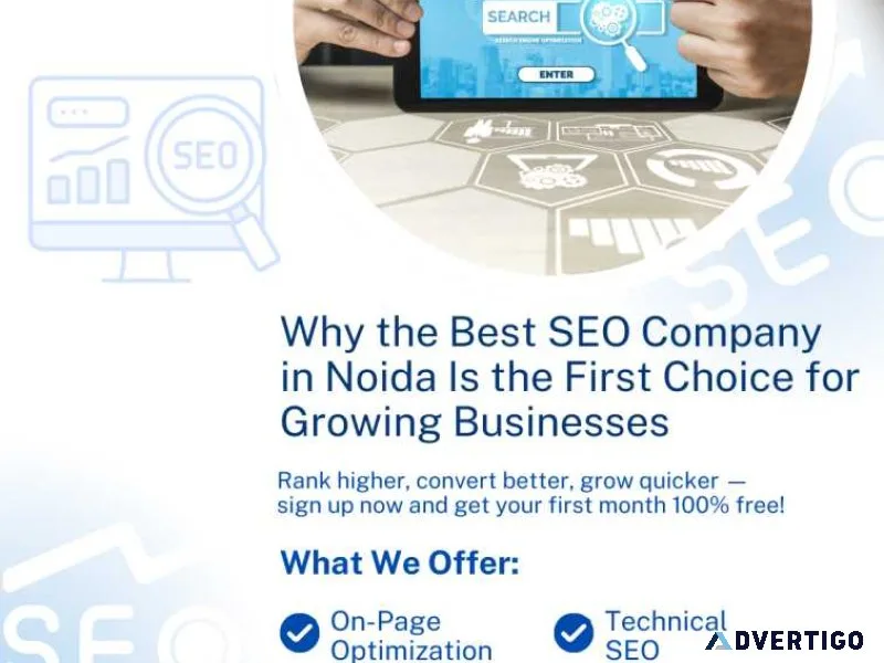 Why the best seo company in noida is the first choice for growin