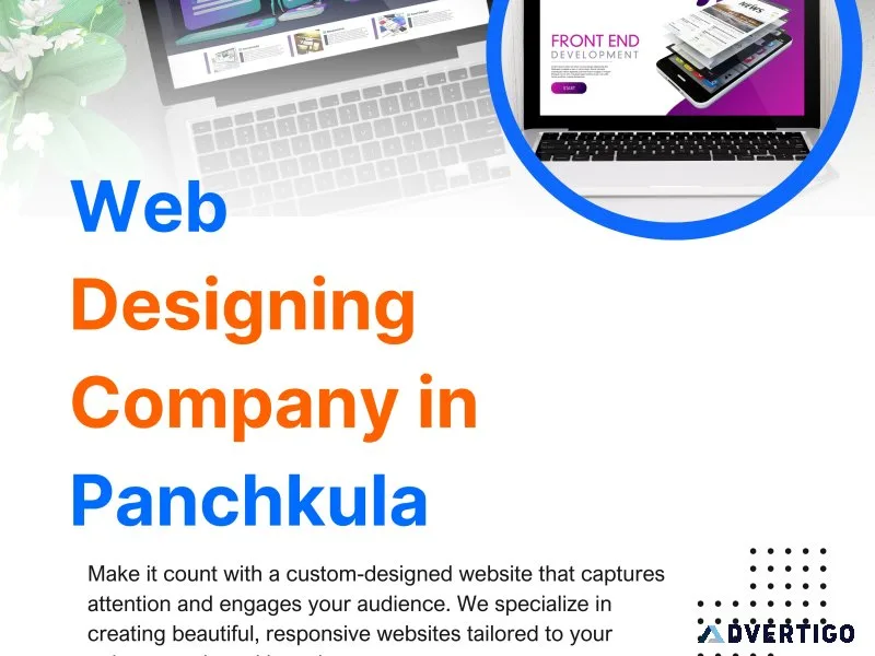 Best web designing company in panchkula for creative websites