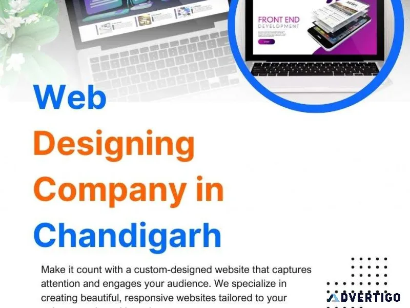 Professional web designing company in chandigarh for modern webs