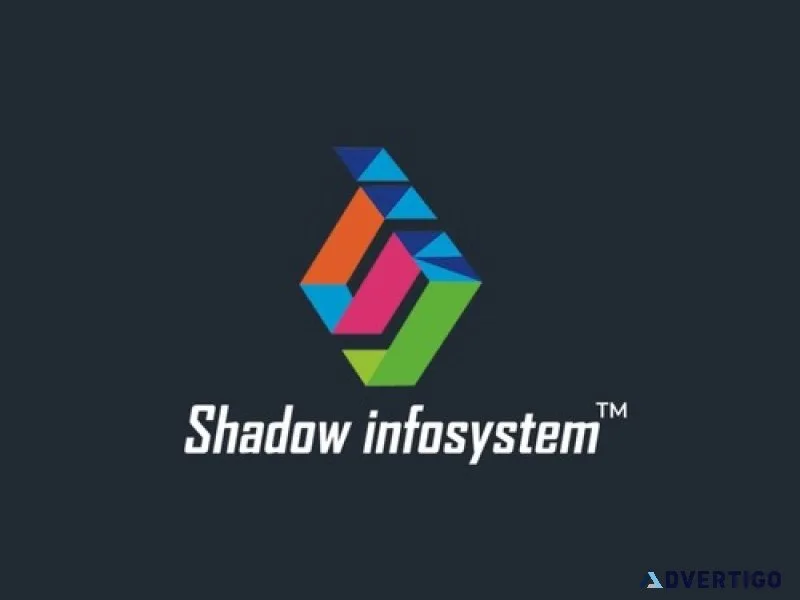 Custom software development