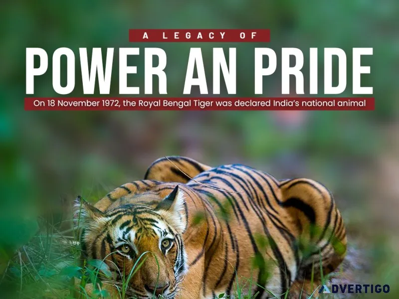 Wildlife resort ranthambore