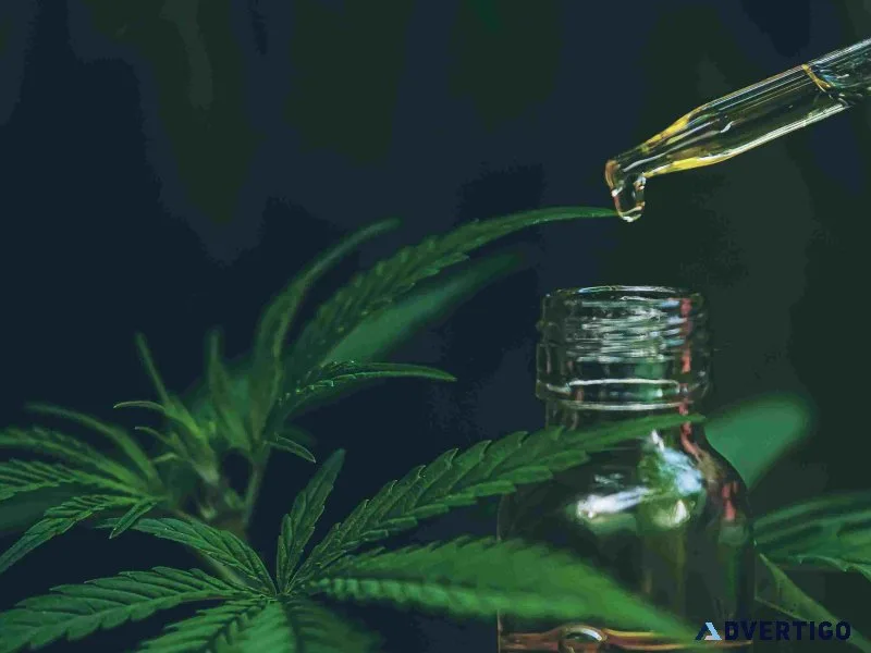 Cbd oil india awareness on lawful use and compliance