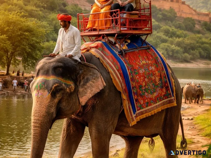 Elephant sanctuary jaipur where ethical encounters create