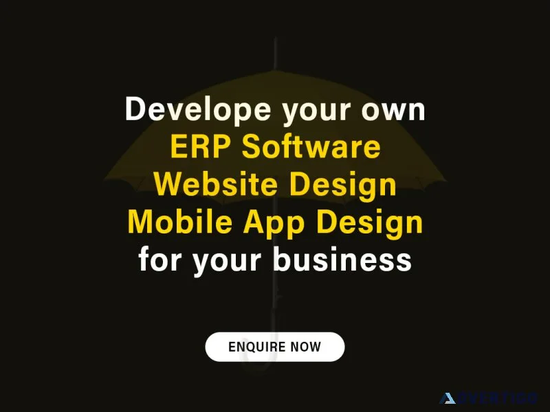 Scale faster with quiclensol custom software solutions