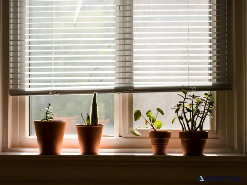 Why choose motorized roller shades manufacturers in mumbai for s