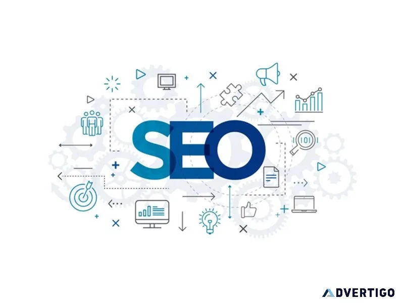 Professional seo services in corpus christi for your business