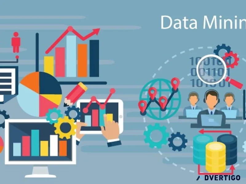Professional data mining services to unlock valuable data