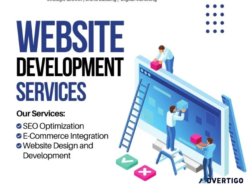 Professional web development services in hyderabad