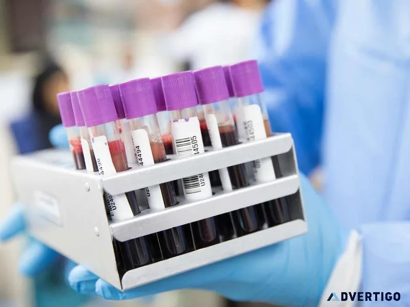 Affordable gut microbiome test for better digestion