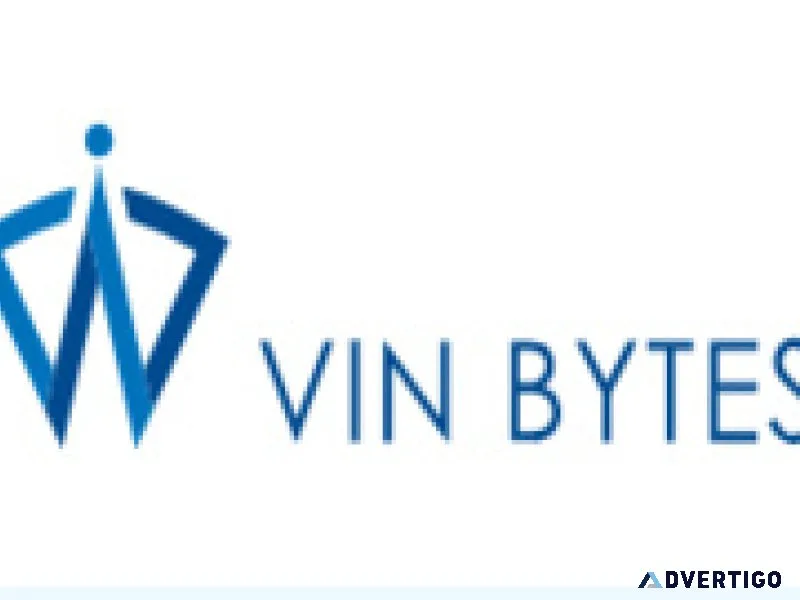 Vin bytes - digital transformation & technology consulting