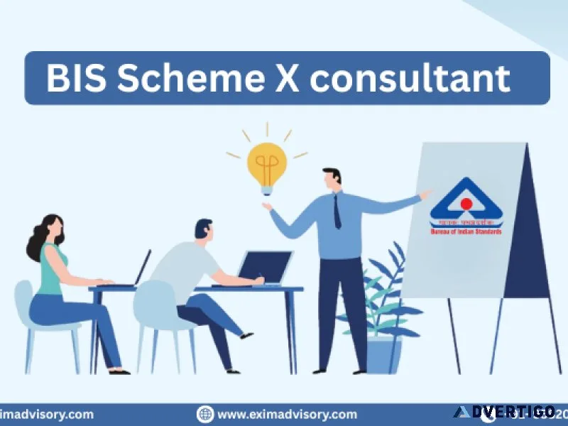 Bis scheme x consultant – expert compliance support
