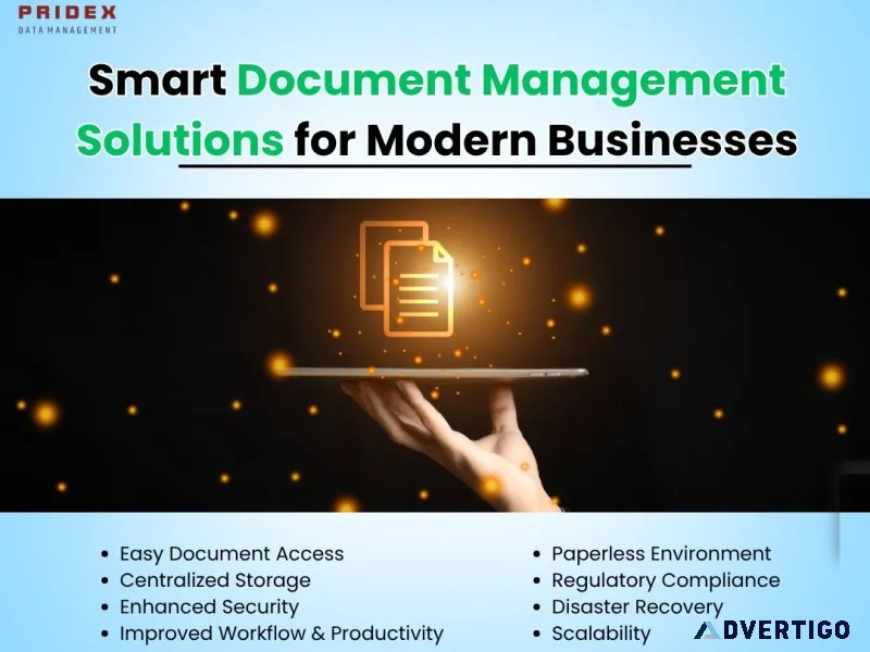 Dms software pune