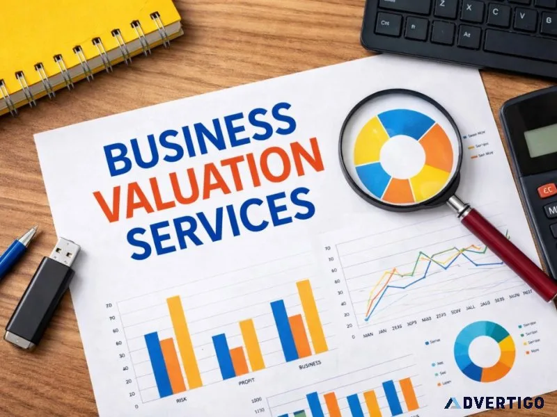 Trusted business valuation services in india by india ipo expert