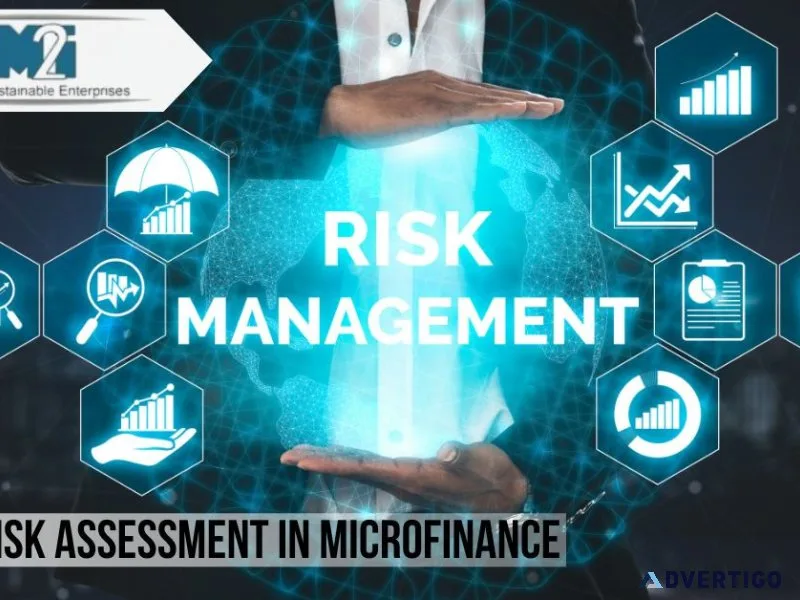 Endtoend fraud risk assessment in microfinance institutions