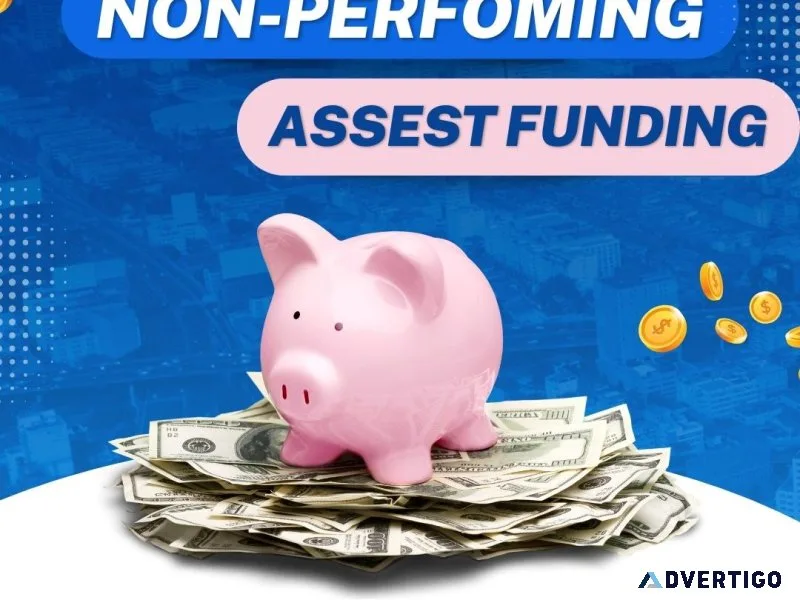 Nonperforming asset funding