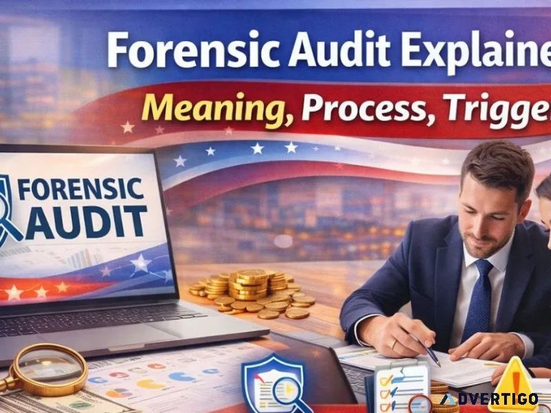Trusted forensic audit firms asc group