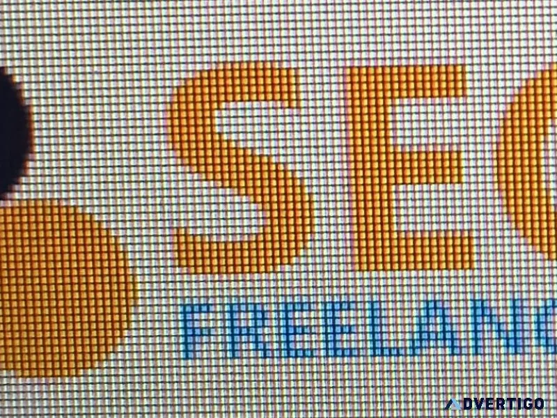 Seo freelancer in india best seo freelancer in india