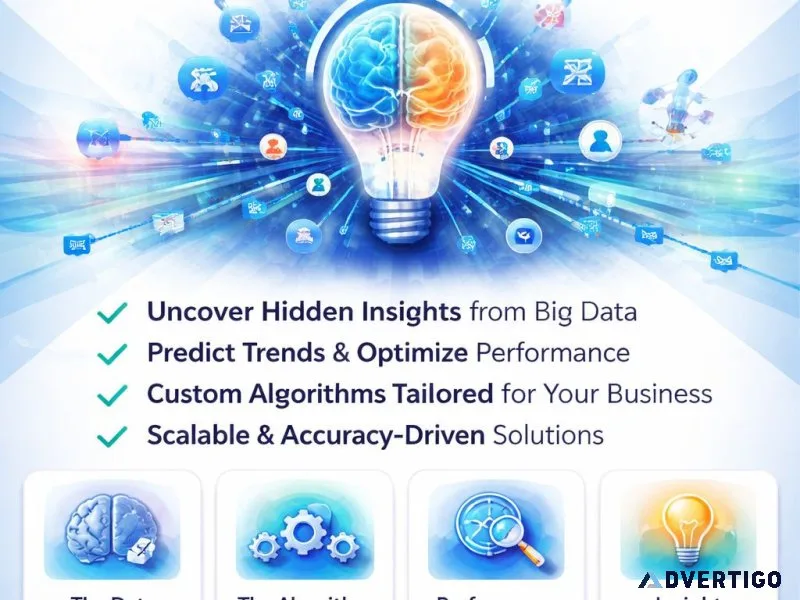 Professional data analysis algorithm services by biztalbox t