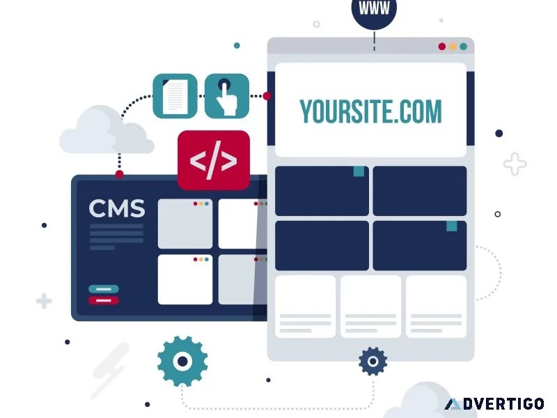 Expert web portals development services dignizant