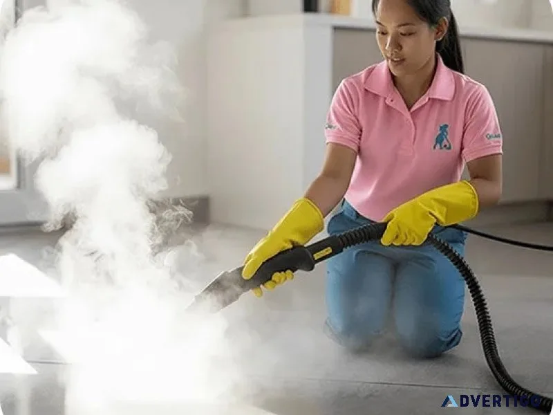 Steam cleaning service