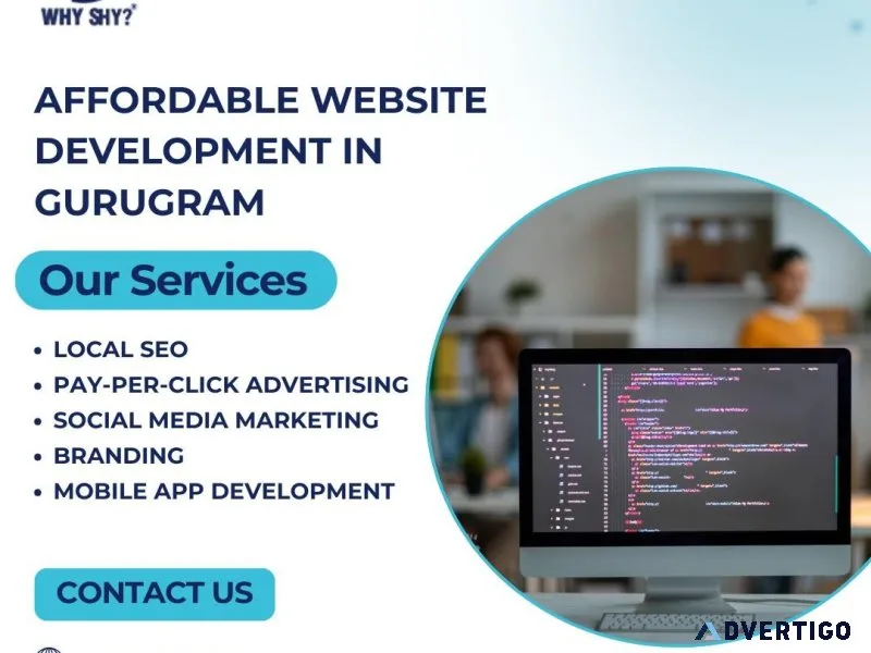 Affordable website development in gurugram why shy