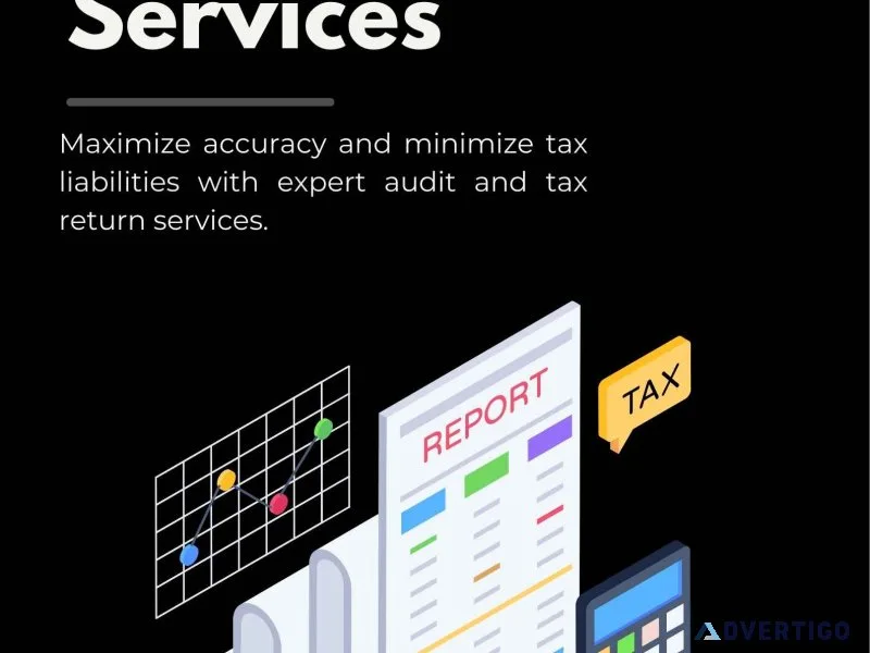 Audit and income tax returns service provider minimise tax