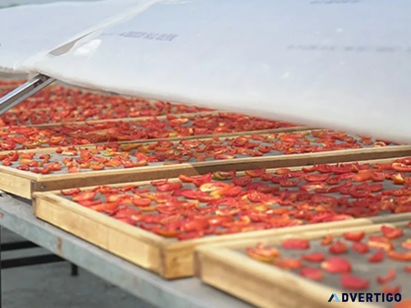 Samagra commercial solar dryer dehydrator machine
