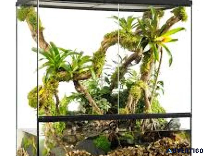 Exo terra glass terrarium reptile habitat enclosure