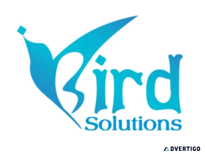 Ibird solutions digital marketing seo services in ahmedabad